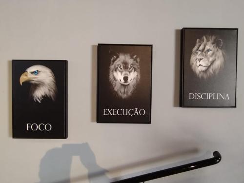 Centro de Treinamento Dois Corregos (10)